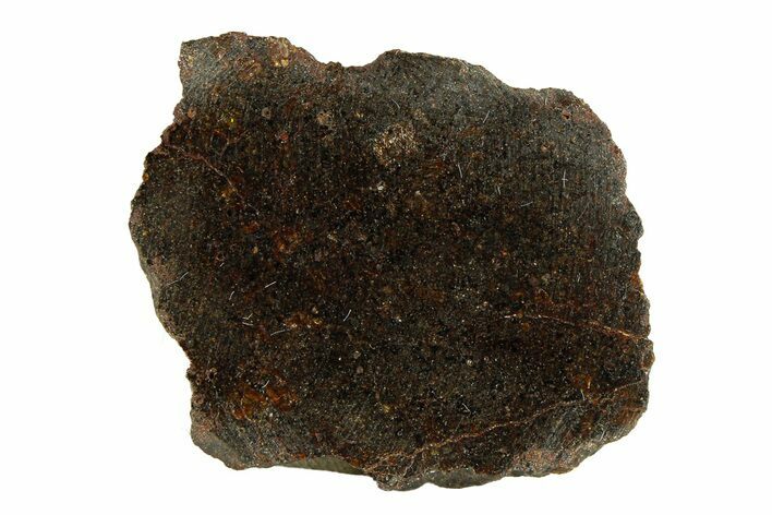 Polished Rafsa Angrite Meteorite Section ( g) - Algeria #291763